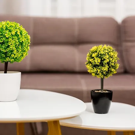 Апартаменти Three-room *